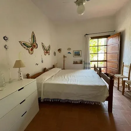 Vivina 4*